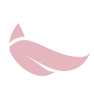Group-1 oiseau rose