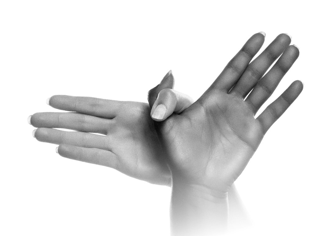 section1_hands mains en signe de liberté formant un oiseau